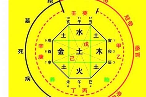 取用神|如何确定八字喜用神 – 八字喜用神的取用技巧